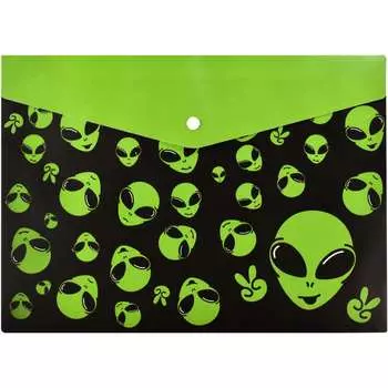 Папка для тетрадей Феникс +