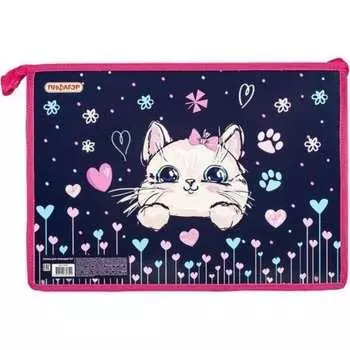 Папка для тетрадей Пифагор