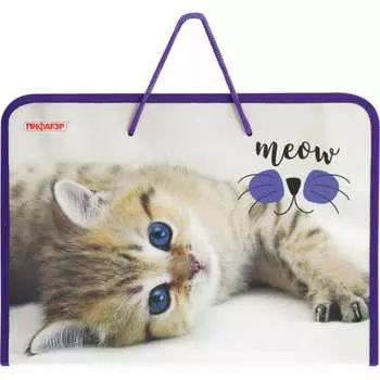 Папка для труда Пифагор