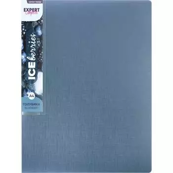 Папка Expert Complete 20 л., A4, 600 мкм, 20 мм, Trend ICEberries, голубика EC211520071 709291