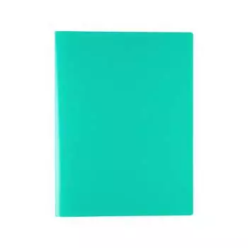 Папка Expert Complete 30 л., A4, 500 мкм, 15 мм, песок, Classic, зеленый ЕС2701303 605721