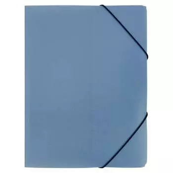 Папка Expert Complete A4, 600 мкм, 35 мм, Trend ICEberries, голубика EC210420071 709210