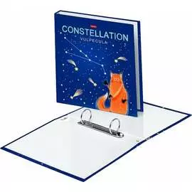 Папка Hatber Приходи считать 070899