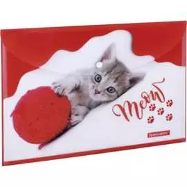 Папка-конверт BRAUBERG FUNNY CAT 228038