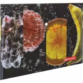 Папка-конверт BRAUBERG FRESH ZONE 228034