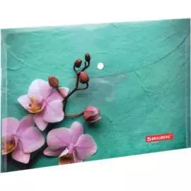 Папка-конверт BRAUBERG FLOWER 228031