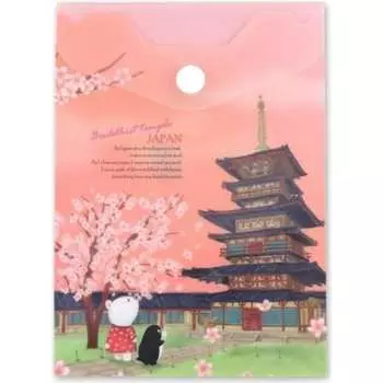 Папка-конверт COMIX география A1856 JP