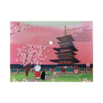 Папка-конверт COMIX география A1854 JP