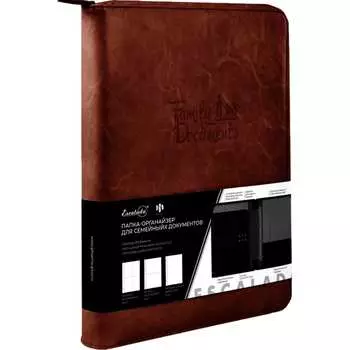 Папка органайзер для документов Феникс +