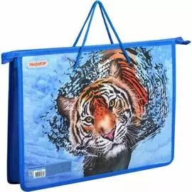 Папка Пифагор