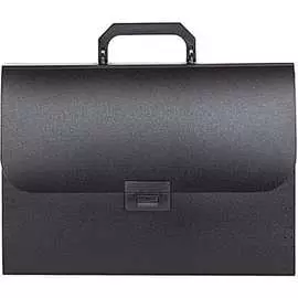 Папка-портфель INFORMAT NL6175-13