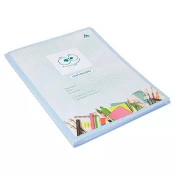 Папка-портфолио Бюрократ Gems 1014882