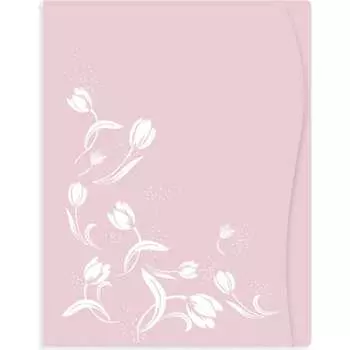 Папка портфолио для документов Феникс +