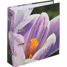 Папка-регистратор Attache Selection