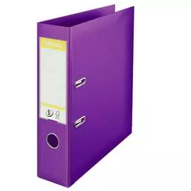 Папка-регистратор ESSELTE