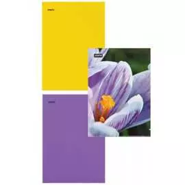 Папка-уголок Attache Selection