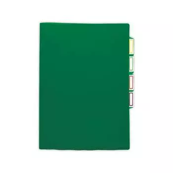 Папка-уголок Бюрократ E356GRN 854123