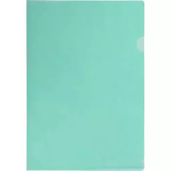 Папка уголок Flexoffice FO-CH04 GREEN