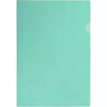 Папка уголок Flexoffice FO-CH06 GREEN