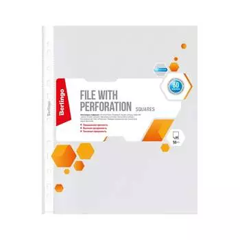 Папка-вкладыш Berlingo Squares SPs_A4060 343695
