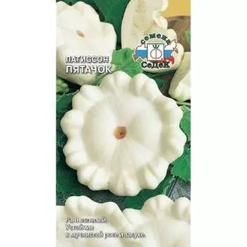 Патиссон СеДек