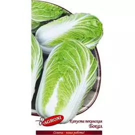 Пекинская капуста капуста Агрони