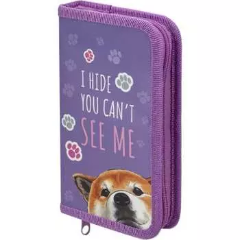 Пенал Пифагор