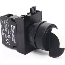 Переключатель EMAS CP100S20