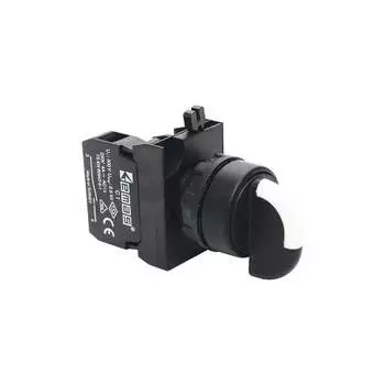 Переключатель EMAS CP102S20