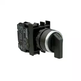 Переключатель EMAS серия B B101S31