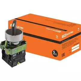 Переключатель TDM ELECTRIC BD25 SQ0703-0010