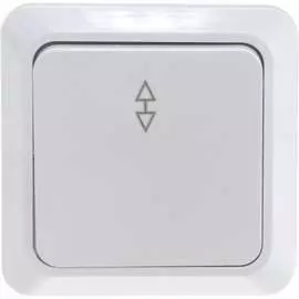 Переключатель TDM ELECTRIC Ладога SQ1801-0005