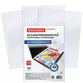 Перфорированные папки-файлы BRAUBERG STANDARD 229660
