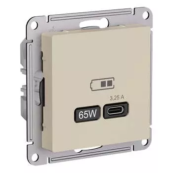 Песочный розетка usb Systeme Electric ATN001227