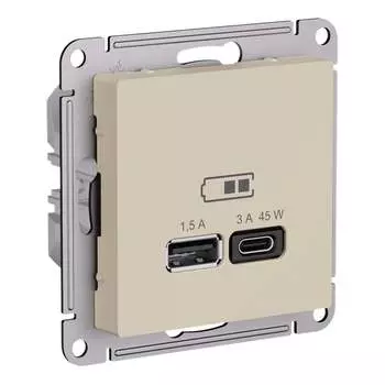 Песочный розетка usb Systeme Electric ATN001229