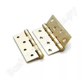 Стальная петля Ренц IN100-4BB FH SB (2шт)