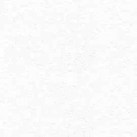 Пигментированный холст Bautex Boston УТ-00024100