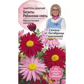 Пиретрум девичий семена ОКТЯБРИНА ГАНИЧКИНА