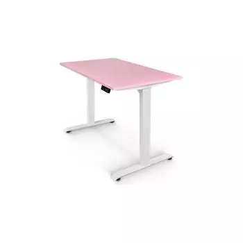 Письменный стол StolStoya SE222Wbr13060