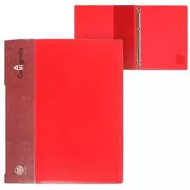 Пластиковая папка Calligrata