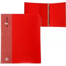 Пластиковая папка Calligrata 6580753