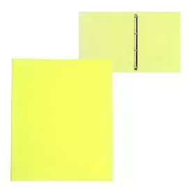 Пластиковая папка Calligrata