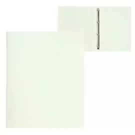 Пластиковая папка Calligrata 6579795