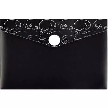 Пластиковая папка для карт и визиток Феникс +