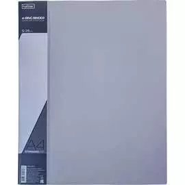 Пластиковая папка Hatber STANDARD 039810