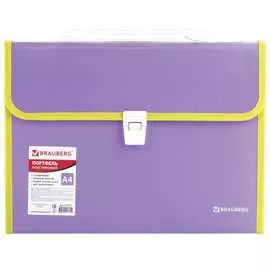 Пластиковая папка-портфель BRAUBERG JOY А4 227977