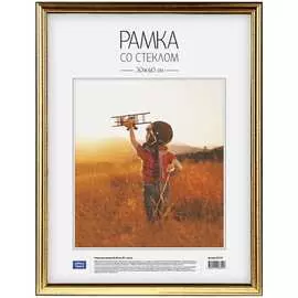 Пластиковая рамка OfficeSpace №2 222167