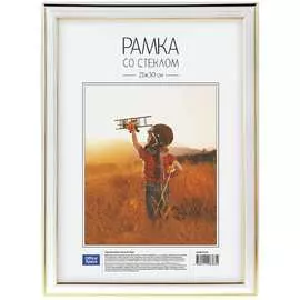 Пластиковая рамка OfficeSpace №2 РП_4641