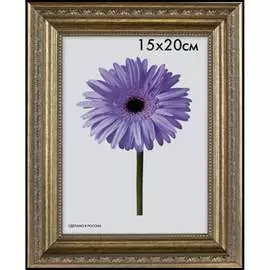 Пластиковая рамка ООО Изометрика Dorothy 0023-8-3330