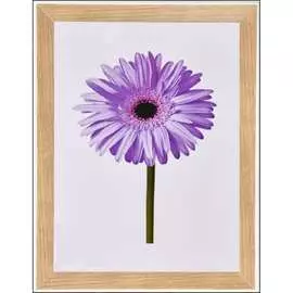 Пластиковая рамка ООО Изометрика